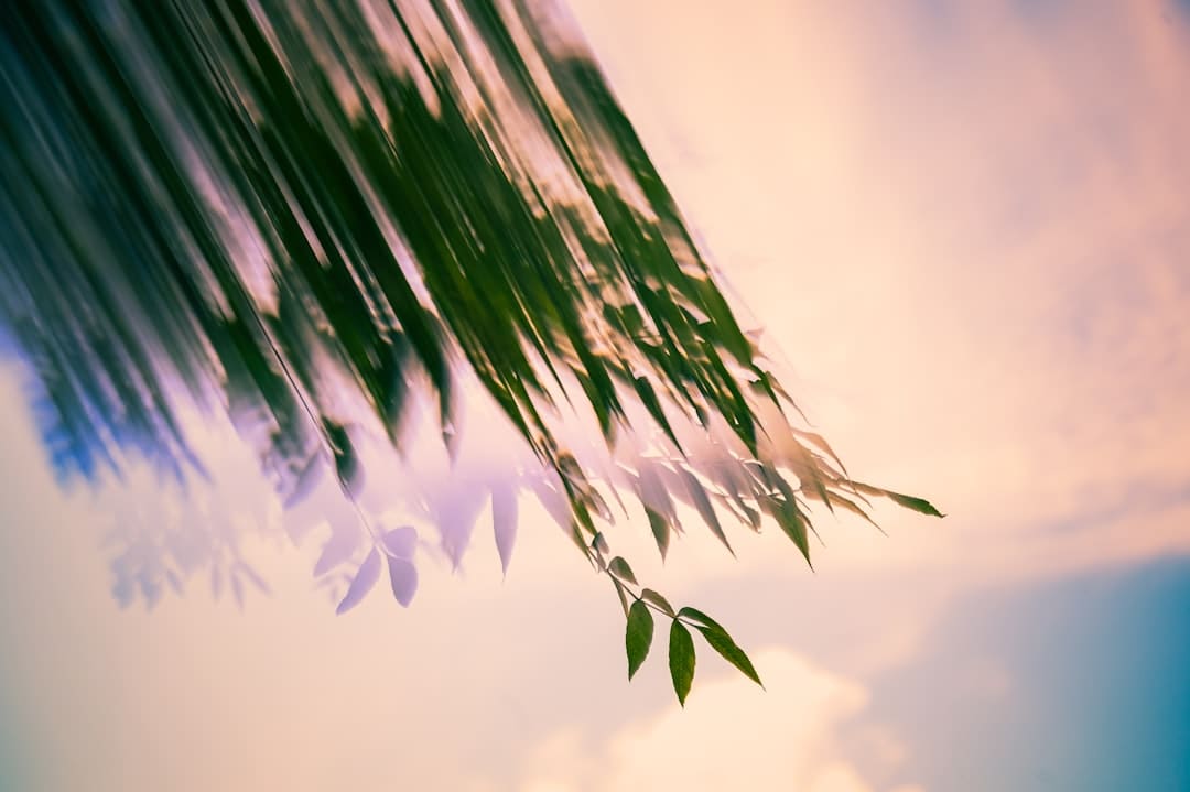 特朗普是否会拜访我国？外交部回应